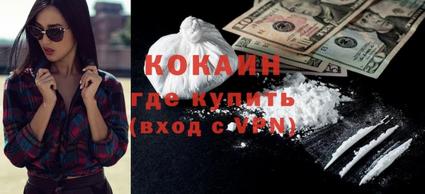 Альфа ПВП Пионерский