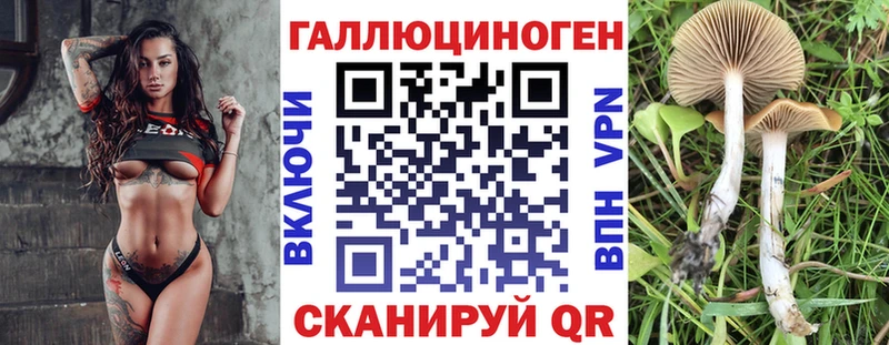 наркота  Ак-Довурак  Галлюциногенные грибы GOLDEN TEACHER 